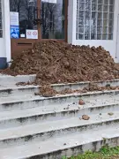 Surgères : le restaurateur Grégory Segais dénonce un acharnement après des dégradations répétées