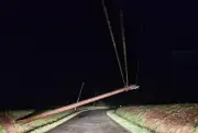 Tempête Nils : 109 000 foyers privés d'électricité dans les Landes