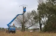 Tempête Nils dans les Landes : 8 000 foyers toujours sans électricité, la patience s'épuise