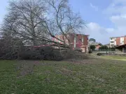 Tempête Nils dans les Landes : records de vent battus et un décès signalé