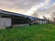 Tempête Nils dans les Landes : un éleveur de poulets dévasté par les vents