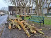 Tempête Nils à Dax : Des dégâts limités, les services municipaux mobilisés