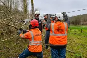 Tempête Nils : Enedis mobilisé pour rétablir l'électricité en Lot-et-Garonne