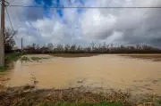 Tempête Nils : les agriculteurs du Lot-et-Garonne en état d'urgence absolue