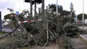 Tempête Nils : records de vent à 180 km/h en Occitanie, bilan humain et perturbations majeures