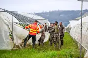 Tempête Nils : une centaine de renforts au secours des agriculteurs du Lot-et-Garonne
