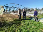 Tempête Nils : une maraîchère bio lance un appel à l'aide pour sauver sa ferme