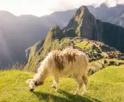 Une ciné-conférence sur le Pérou à la Villa MonCiné avec le réalisateur André Maurice