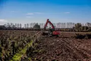 Une foncière public-privé pour sauver le vignoble girondin en crise