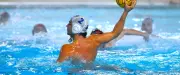 Water-polo : l'aventure européenne s'achève pour Sète, tournés vers le championnat
