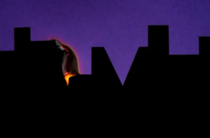 21 poètes et poétesses s'élèvent contre la fin du monde dans un recueil engagé