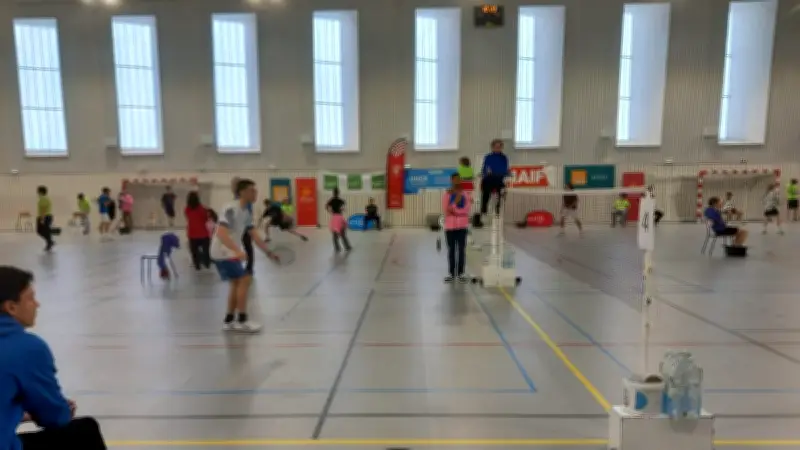 425 lycéens s'affrontent pour le titre national de badminton UNSS dans le Gard