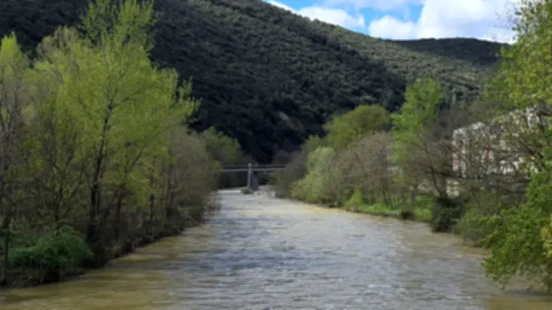 60 kg de truites arc-en-ciel déversés dans le Gardon entre Riste et La Levade