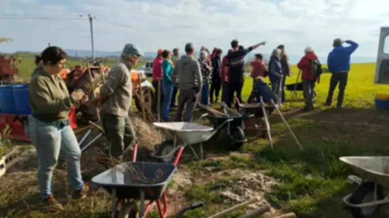 800 plants plantés dans l'Aveyron pour lutter contre l'érosion des sols