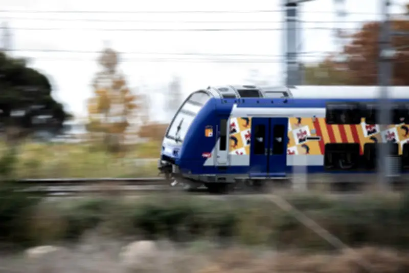 Accident mortel à Saint-Raphaël : un train percute un poids lourd, circulation interrompue
