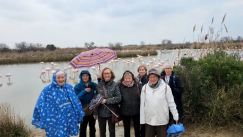 Accueil et Loisirs : une sortie ornithologique en Camargue sous la pluie