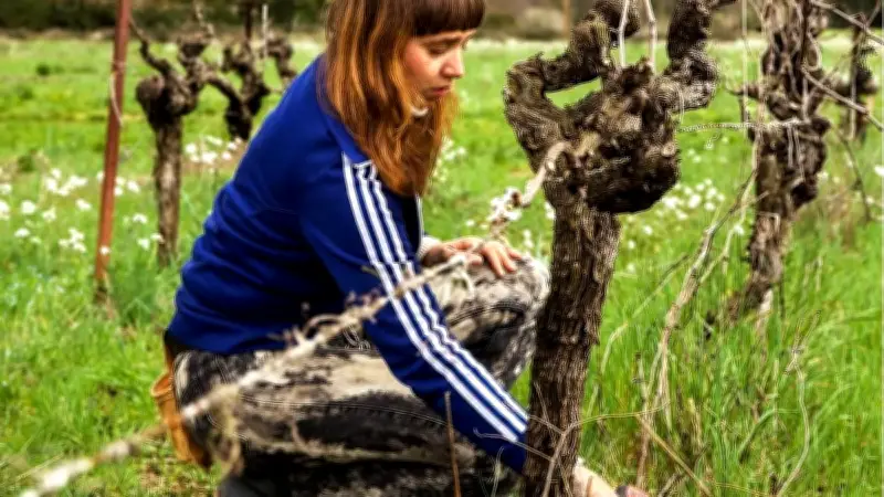 Alexia ravive la tradition viticole ancestrale dans les Cévennes