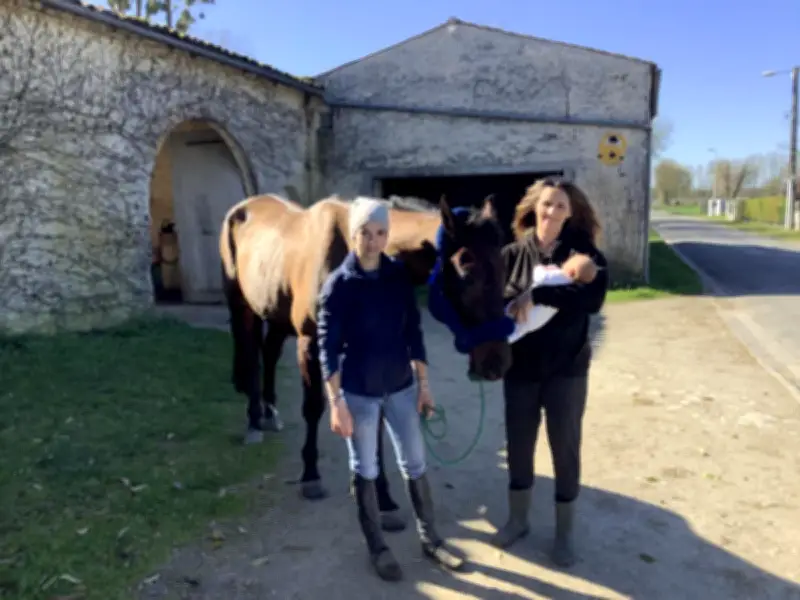 Alison Rousseau sauve les trotteurs réformés de l'abattoir avec son écurie des Beaux AR