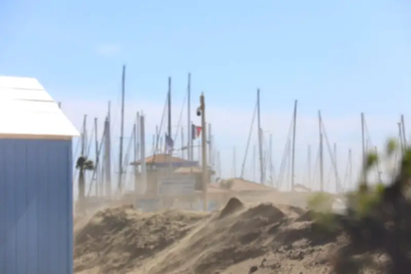 Alpes-Maritimes en vigilance vent : des rafales jusqu'à 65 km/h attendues