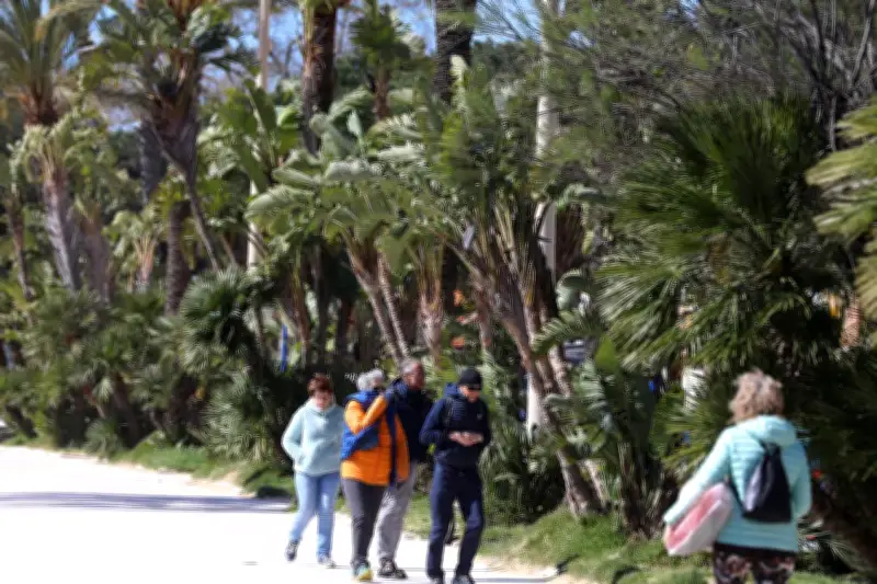 Alpes-Maritimes : vent violent et soleil ce mardi 31 mars 2026