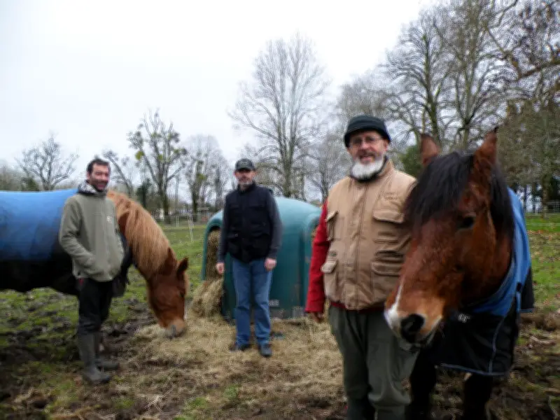Alternative animale cherche bénévoles et financements pour protéger ses équidés