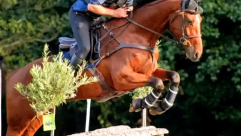 Amanti Muller célèbre 10 ans en équipe de France de Trec, objectif Mondiaux à Barcelone