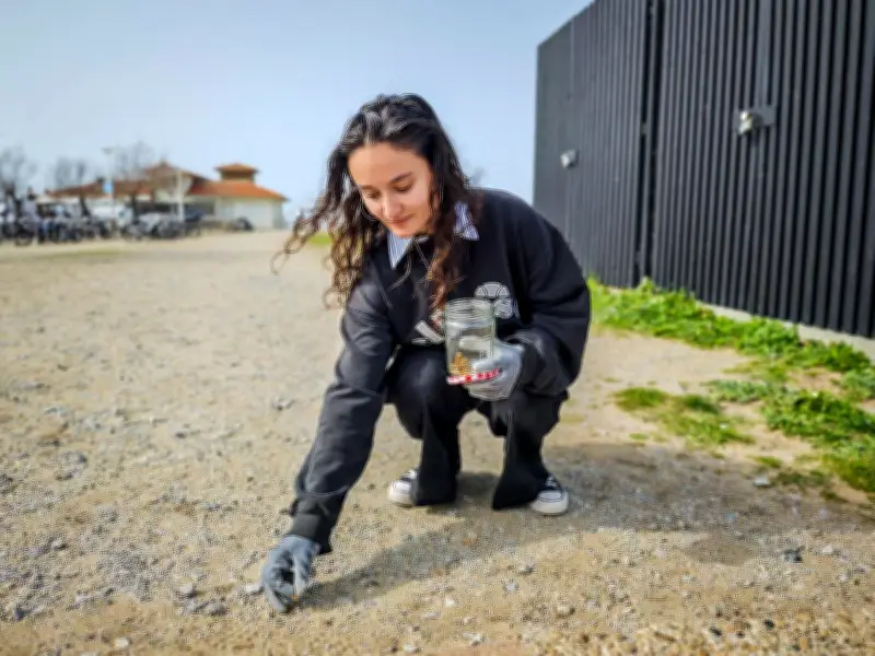 Anglet : une collecte de mégots sur la plage des Sables d'Or mobilise une quinzaine de participants