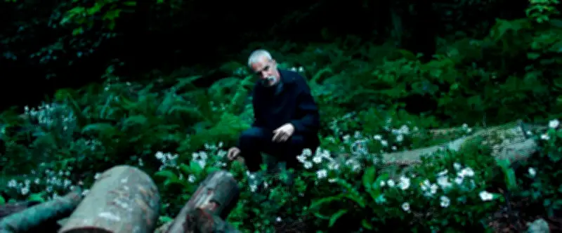 Anémone : le fils de Daniel Day-Lewis réalise son premier film