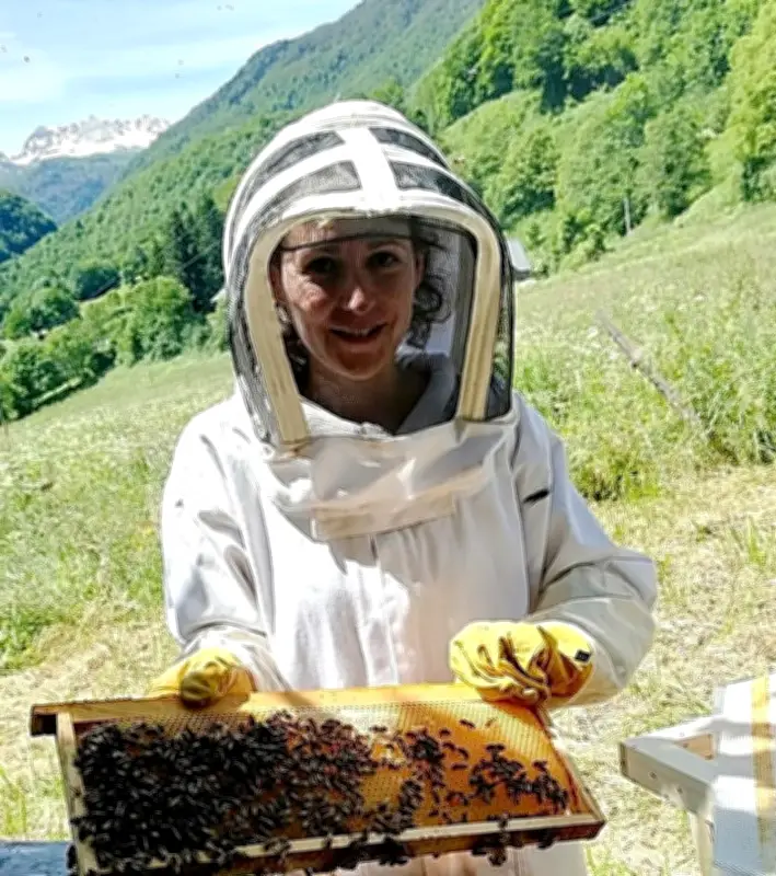 Apicultrice d'Accous : appel aux dons après une attaque de frelons asiatiques