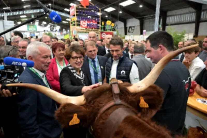 Après le Salon de l'Agriculture 2026, les agriculteurs français face aux défis persistants