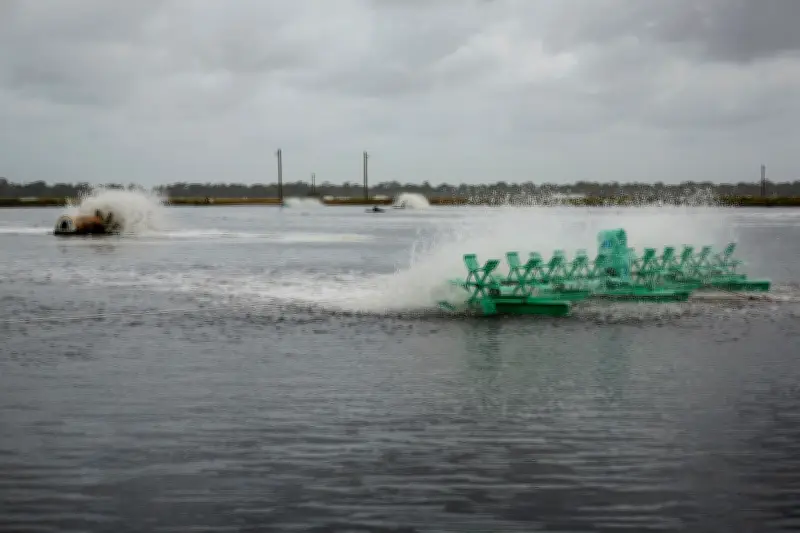 Aquaculture durable : les recherches de l'Ifremer à Palavas pour une pisciculture responsable