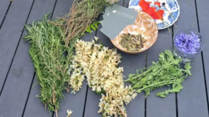 Atelier cueillette printanier à Villeneuve-lès-Avignon pour célébrer la nature