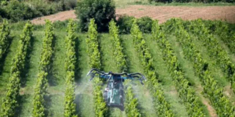 Atmo France révèle une carte interactive sur la présence généralisée de pesticides dans l'air