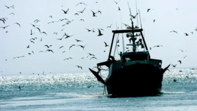 Au Grau-du-Roi, la flambée du carburant menace la survie des pêcheurs