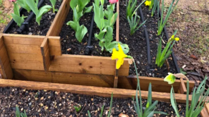Aubord : Les élèves cultivent la beauté avec 600 bulbes fleuris à l'école