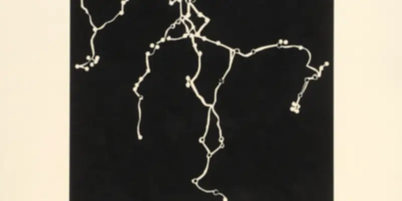 Avinash Paliwal : L'influence croissante de la Chine bouleverse l'ordre régional en Asie du Sud