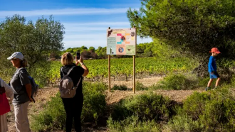 Balade guidée dans les vignobles de Montagnac : nature et patrimoine viticole