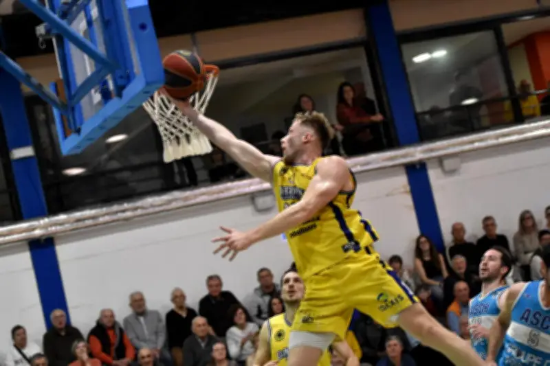 Basket Nationale 2 : Le Garonne Agen Rate le Coche Face à La Roche-sur-Yon