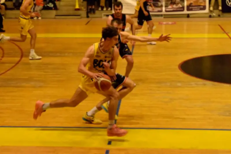 Basket Pro B : Les JSA Bordeaux cherchent la réaction à Brissac après leur défaite