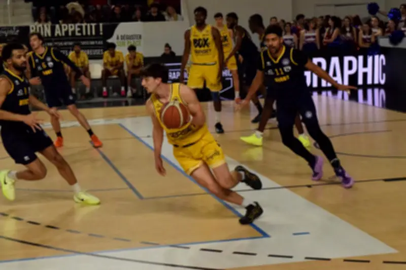 Basket Pro B : Les JSA Bordeaux s'inclinent face à Niort après une remontée inachevée