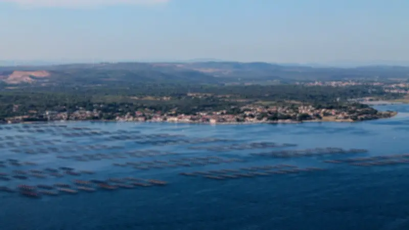 Bassin de Thau : les habitants consultés sur le nouveau schéma d'aménagement territorial