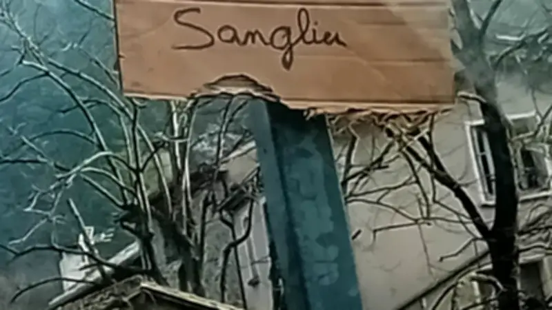 Battue administrative à Aulas : neuf sangliers abattus pour protéger les cultures