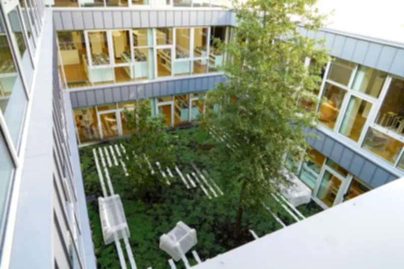 Bayonne en fête pour les vacances de Toussaint : art, chocolat et réouverture de la médiathèque