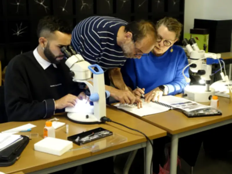 Bayonne : le Musée basque mise sur la prévention après une infestation d'insectes xylophages