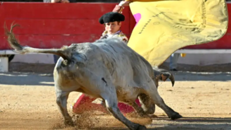 Bellegarde : Trois oreilles décernées aux jeunes toreros malgré le mistral et les protestations