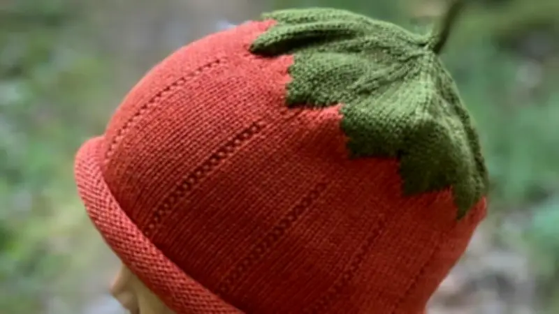 Bessan : des bonnets pour enfants mêlant héritage suédois et savoir-faire occitan