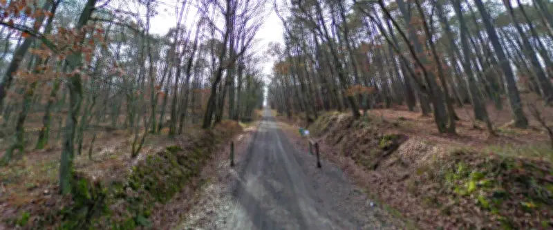 Bizutage à Toulouse : des étudiants attachés en sous-vêtements dans la forêt, plusieurs hospitalisés