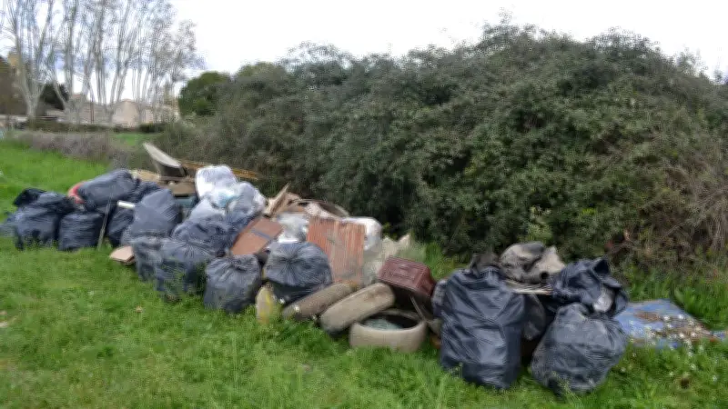Bénévoles et chasseurs unis pour nettoyer les rives du Vistre au Cailar