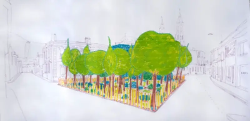 À Bordeaux, un patrimoine arboré bien implanté et préservé