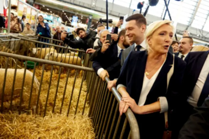 Brebis galeuses : le danger de l'accoutumance dans le paysage politique